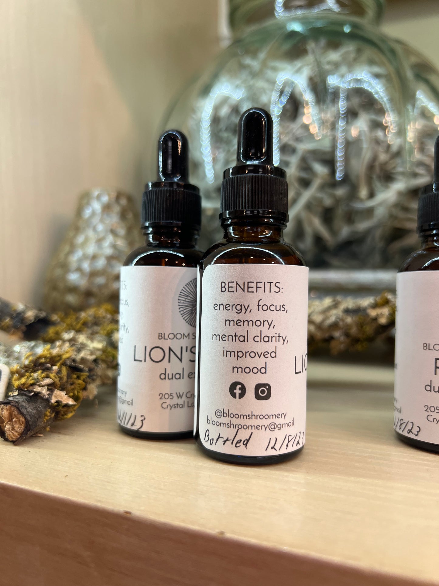 Lions Mane Tincture // Bloom Shroomery