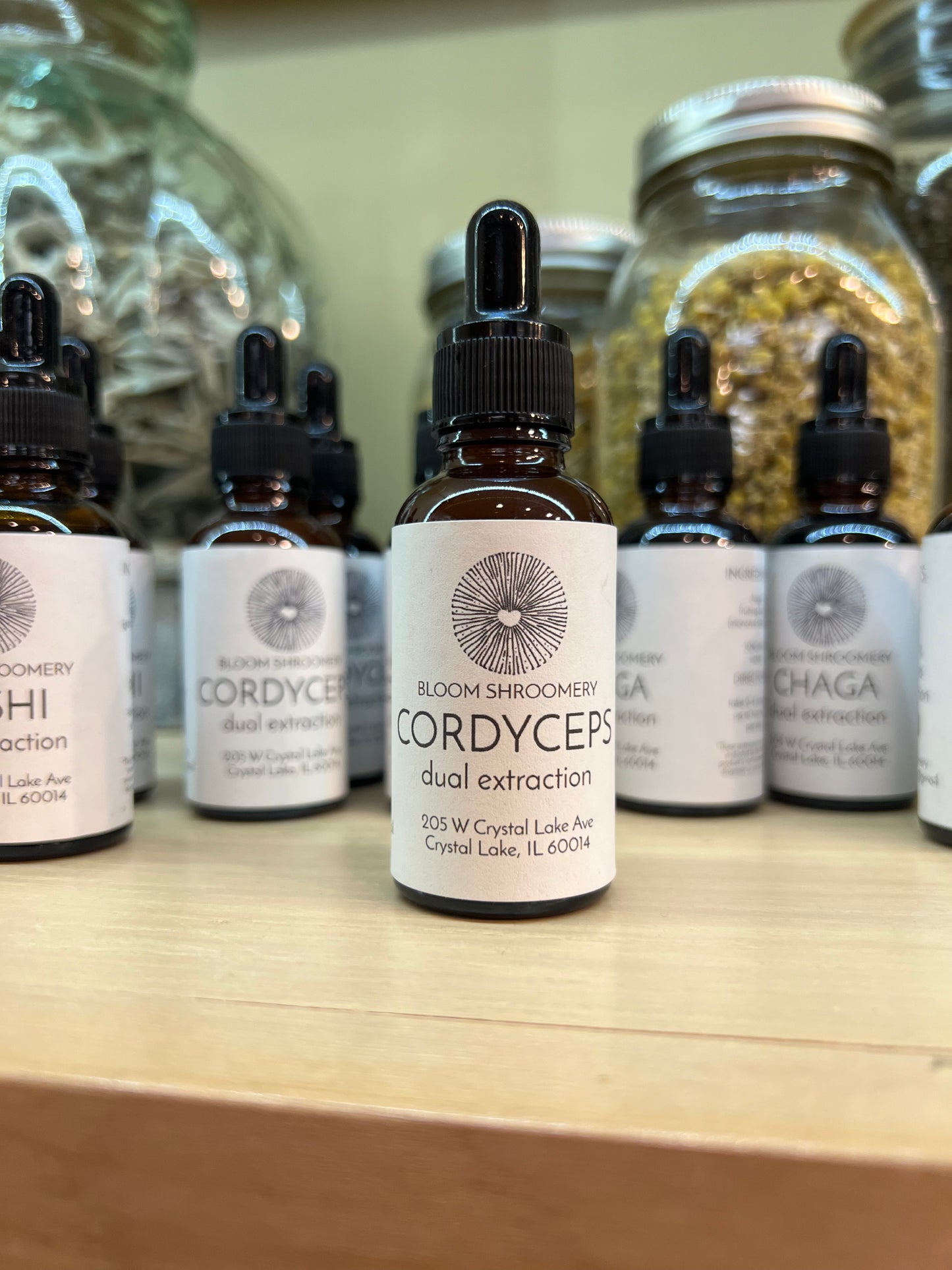 Cordyceps Mushroom Tincture // Bloom Shroomery