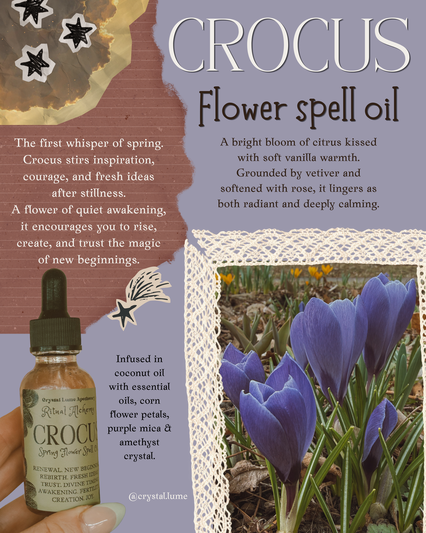 Crocus Flower Spell oil