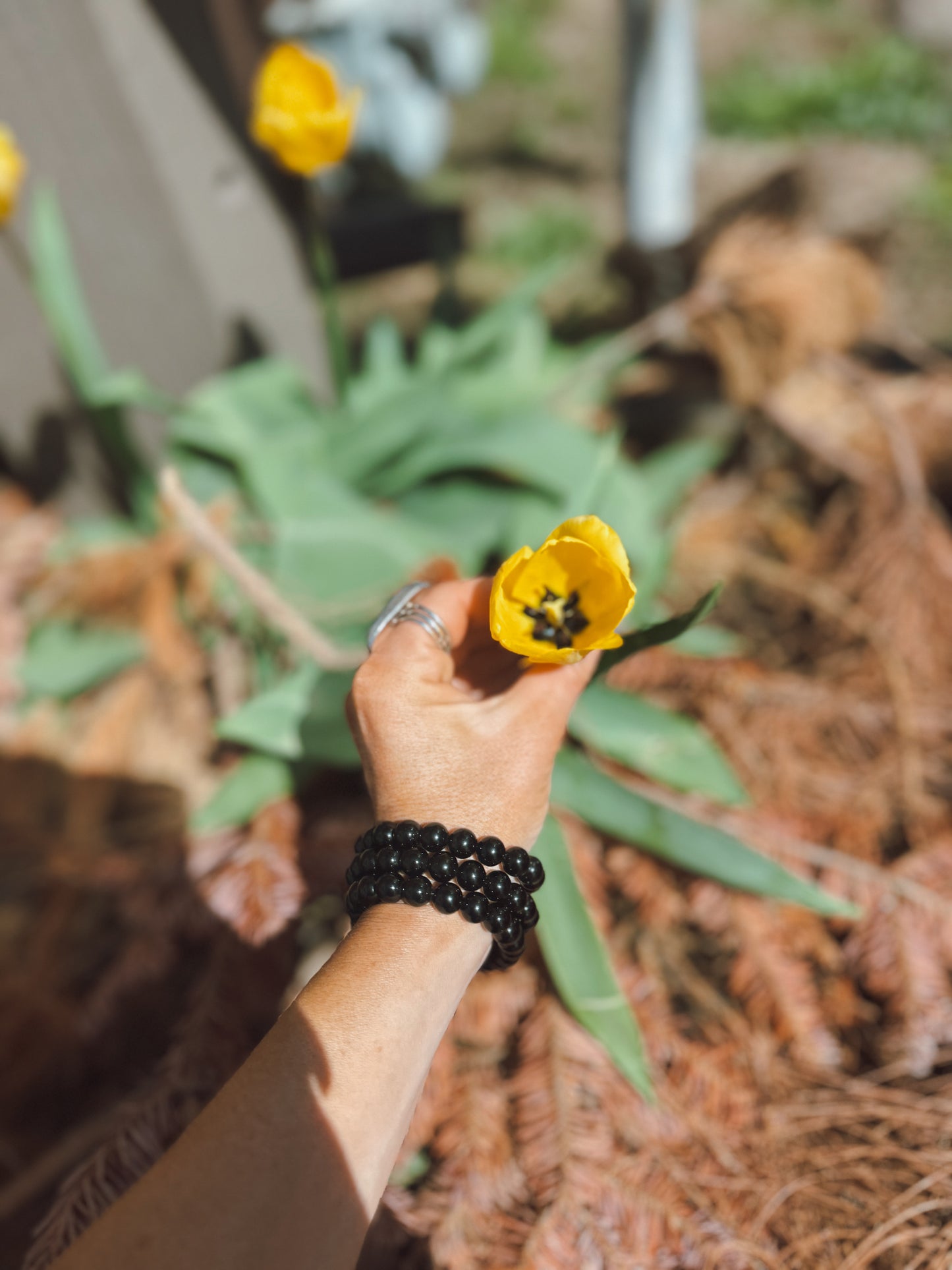 Black Obsidian Bracelet 8mm beads