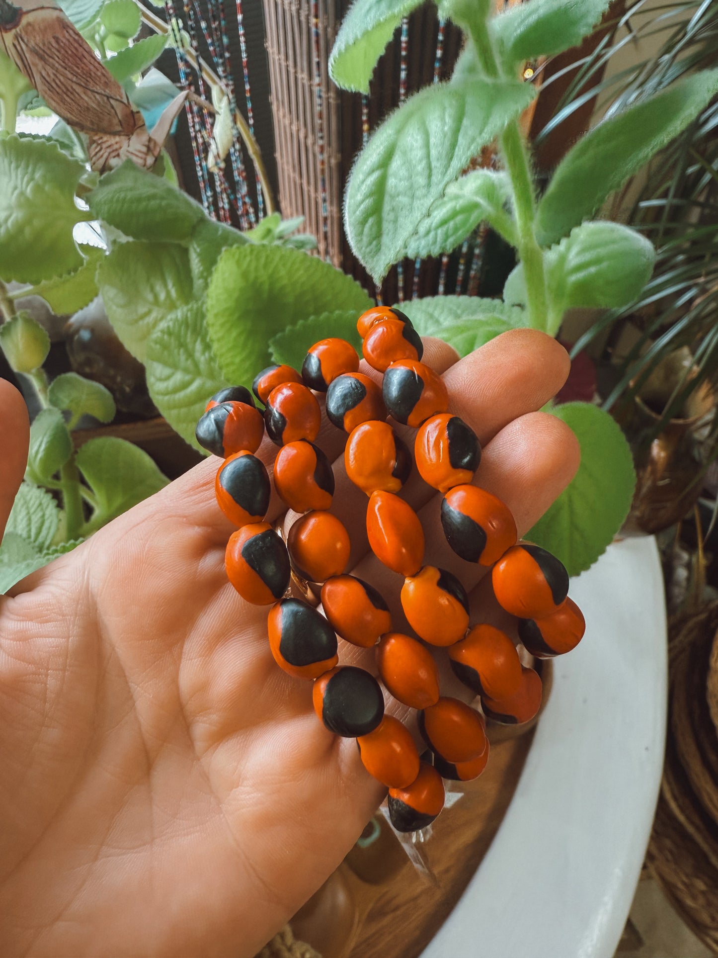 Shaman Seed Bracelet - Evil eye protection
