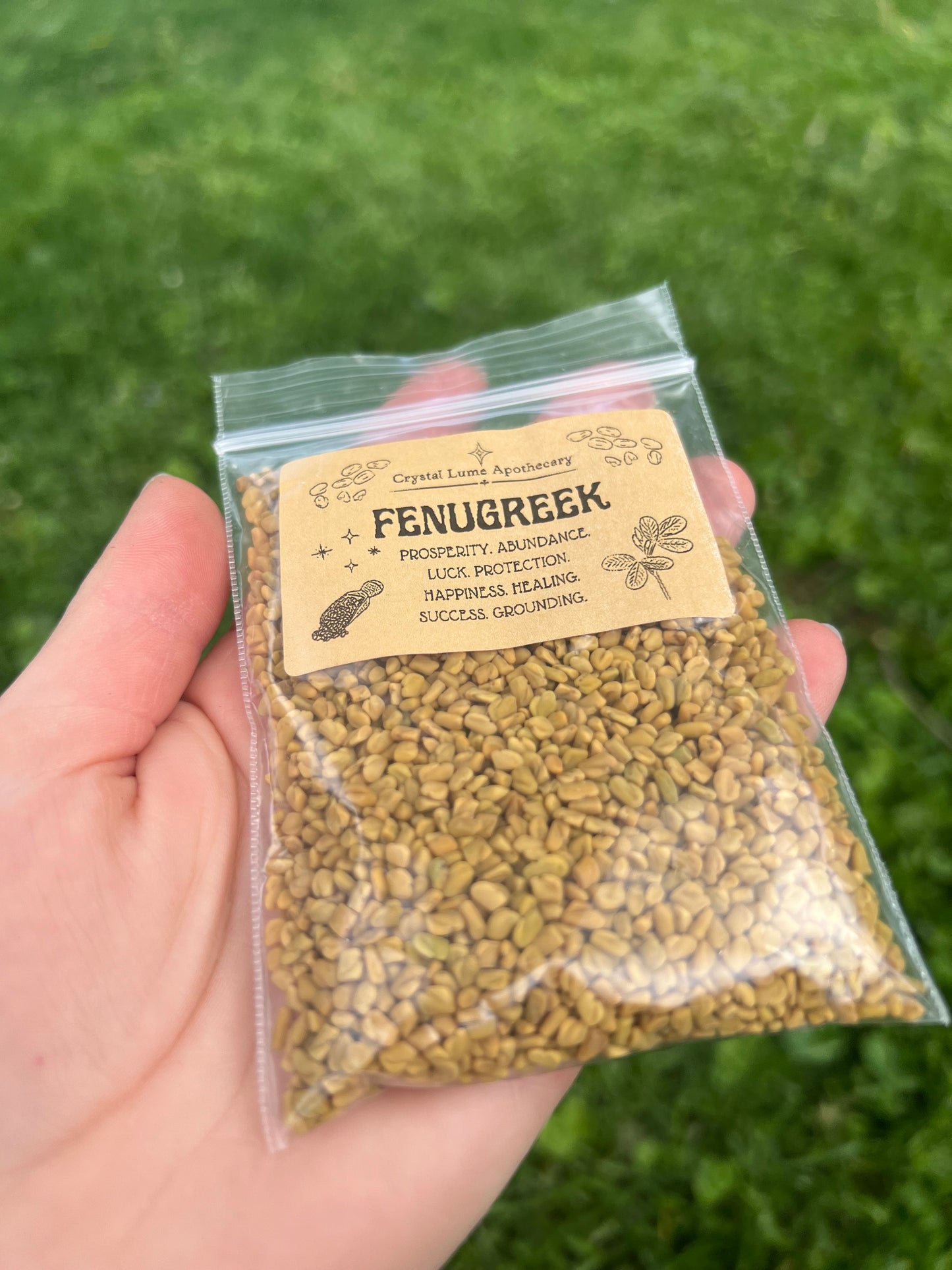 Fenugreek