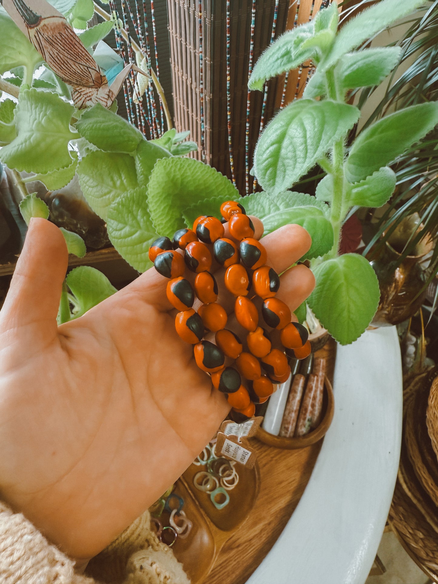 Shaman Seed Bracelet - Evil eye protection