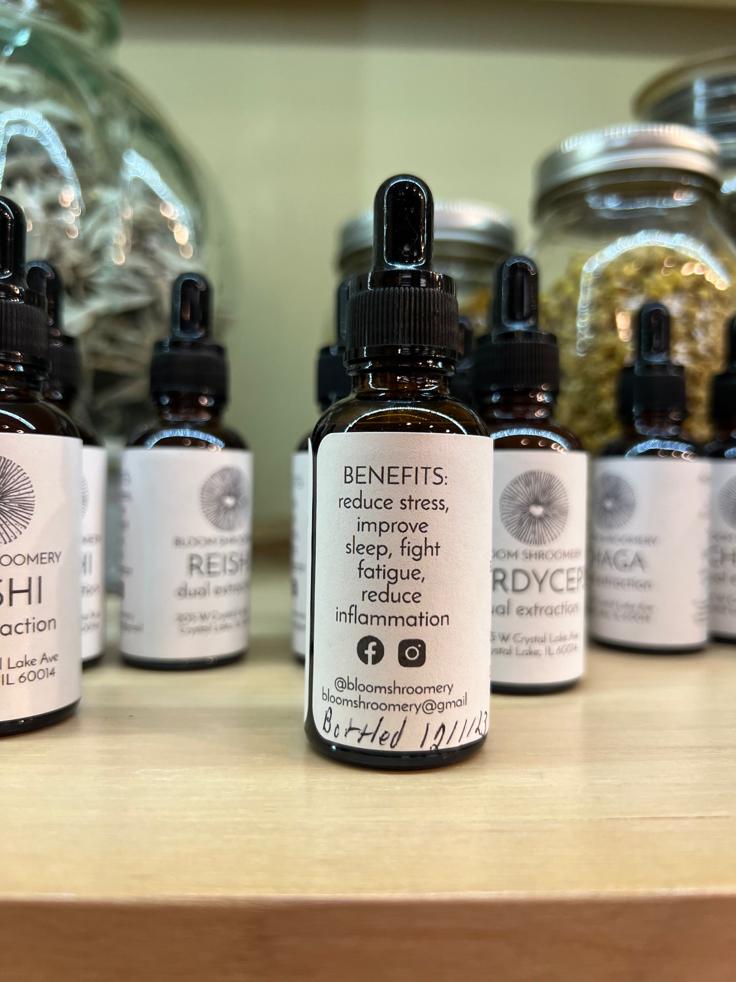REISHI Tincture // Bloom Shroomery Local mushrooms