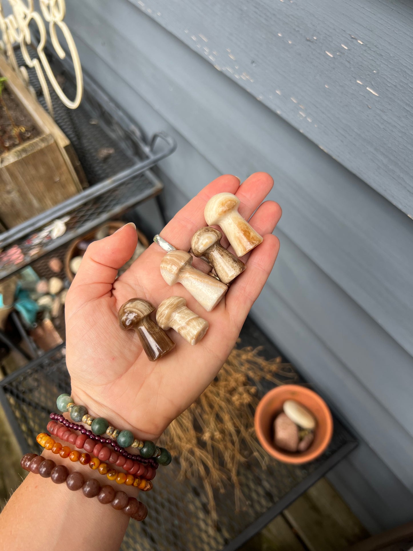 Chocolate Calcite Carved Mushroom Gemstone