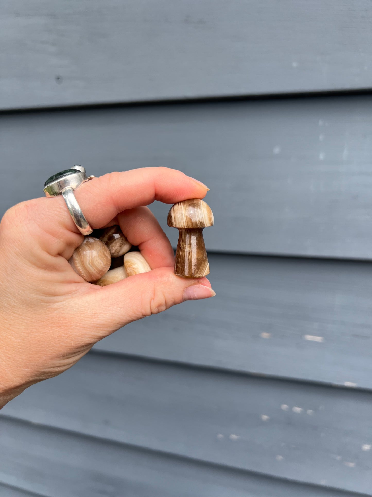 Chocolate Calcite Carved Mushroom Gemstone