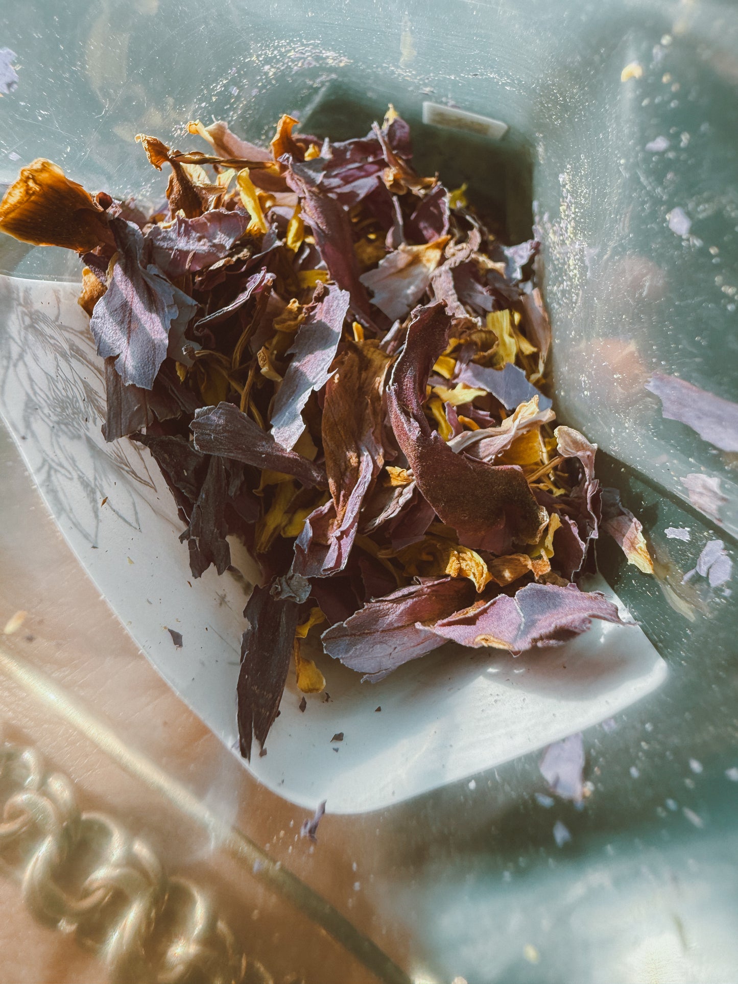 Blue Lotus Flower Petals