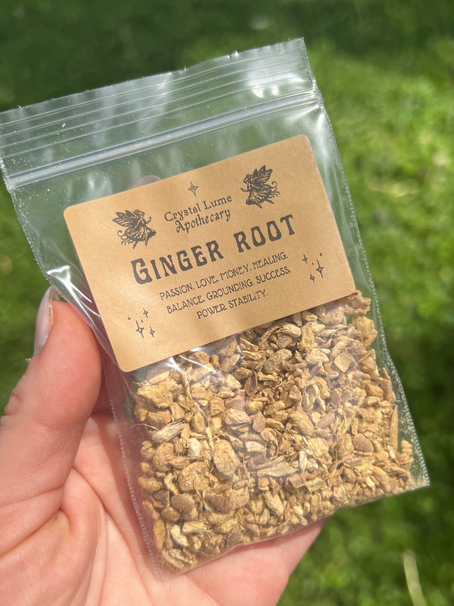 Ginger Root