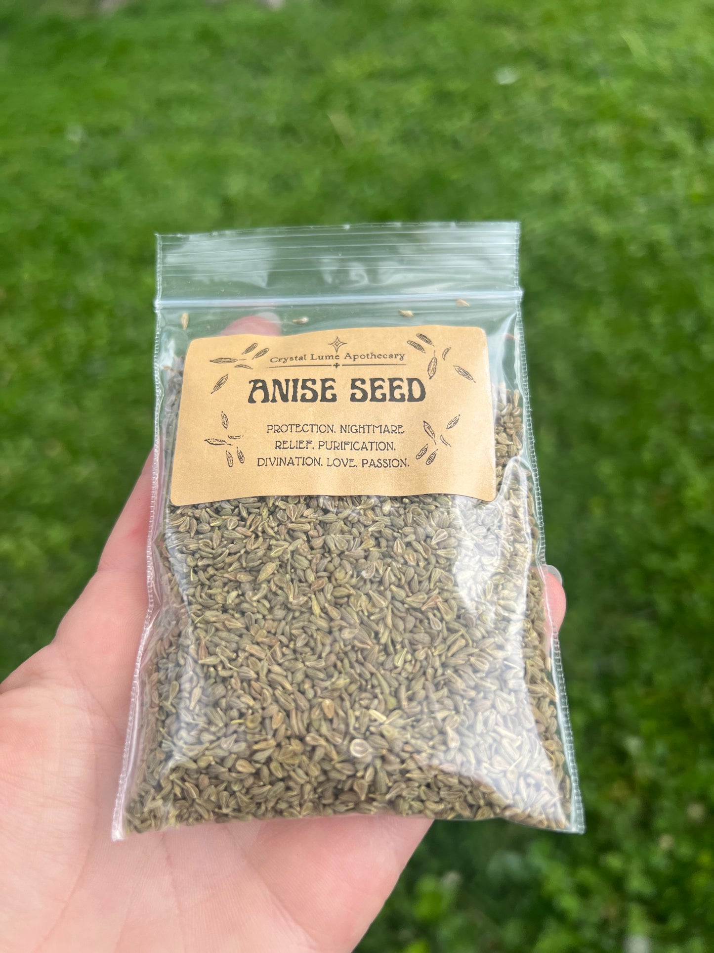 Anise Seed