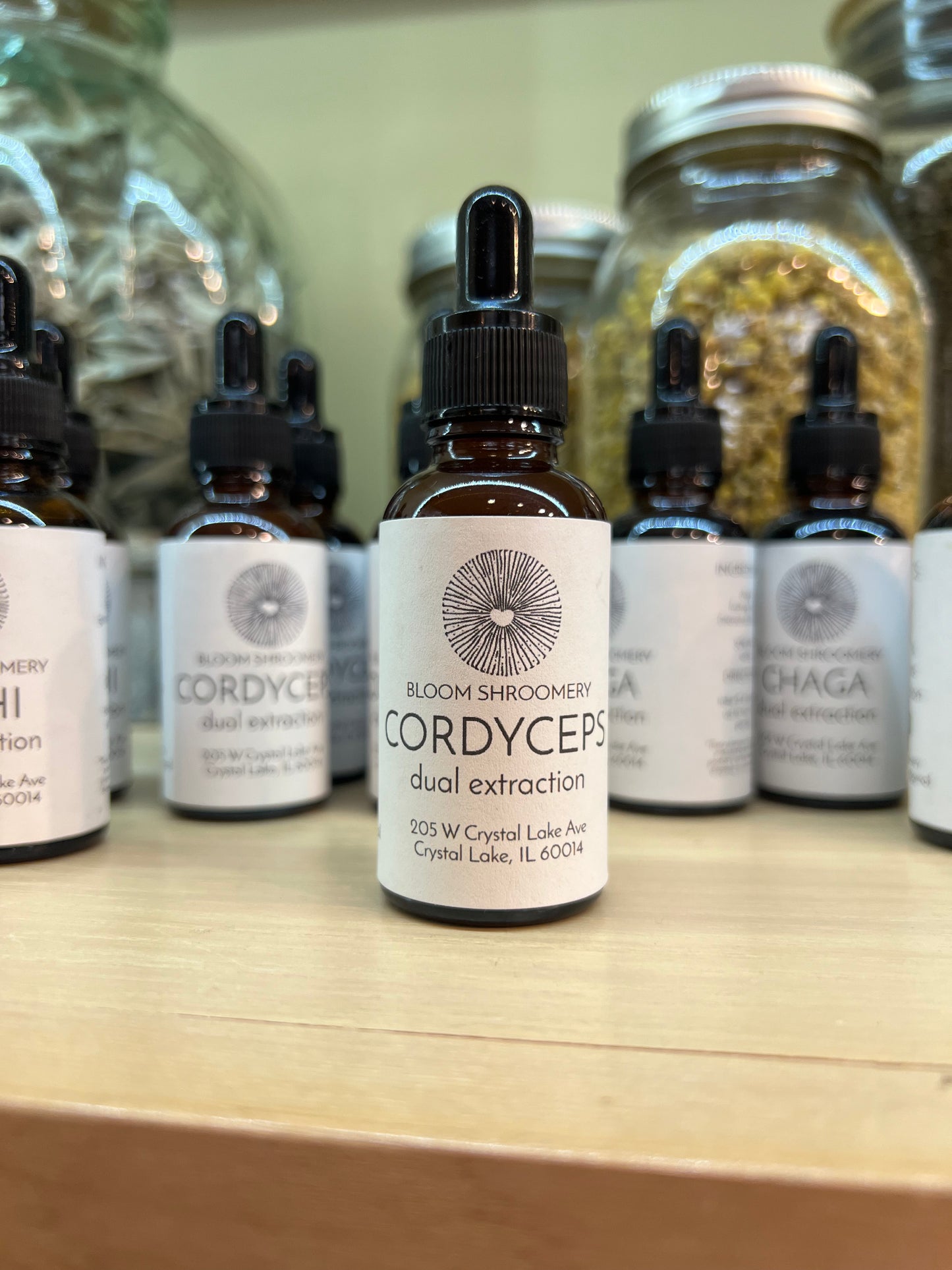 Cordyceps Mushroom Tincture // Bloom Shroomery