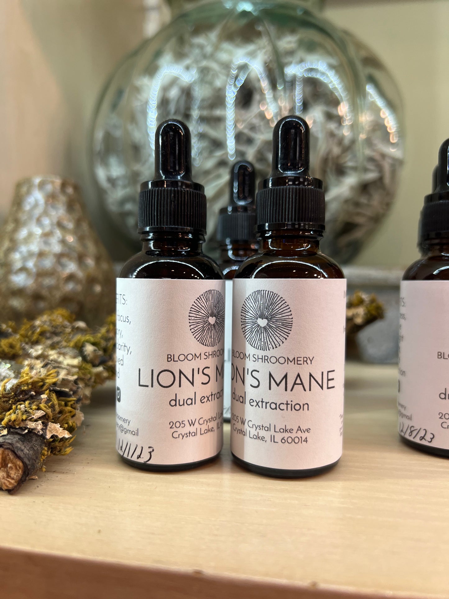 Lions Mane Tincture // Bloom Shroomery