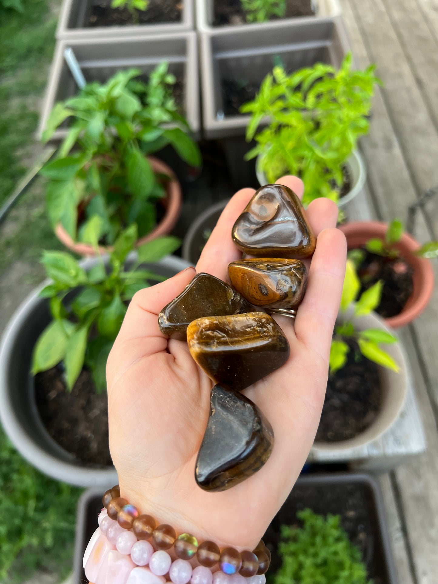 Tiger Eye Tumbled Stone