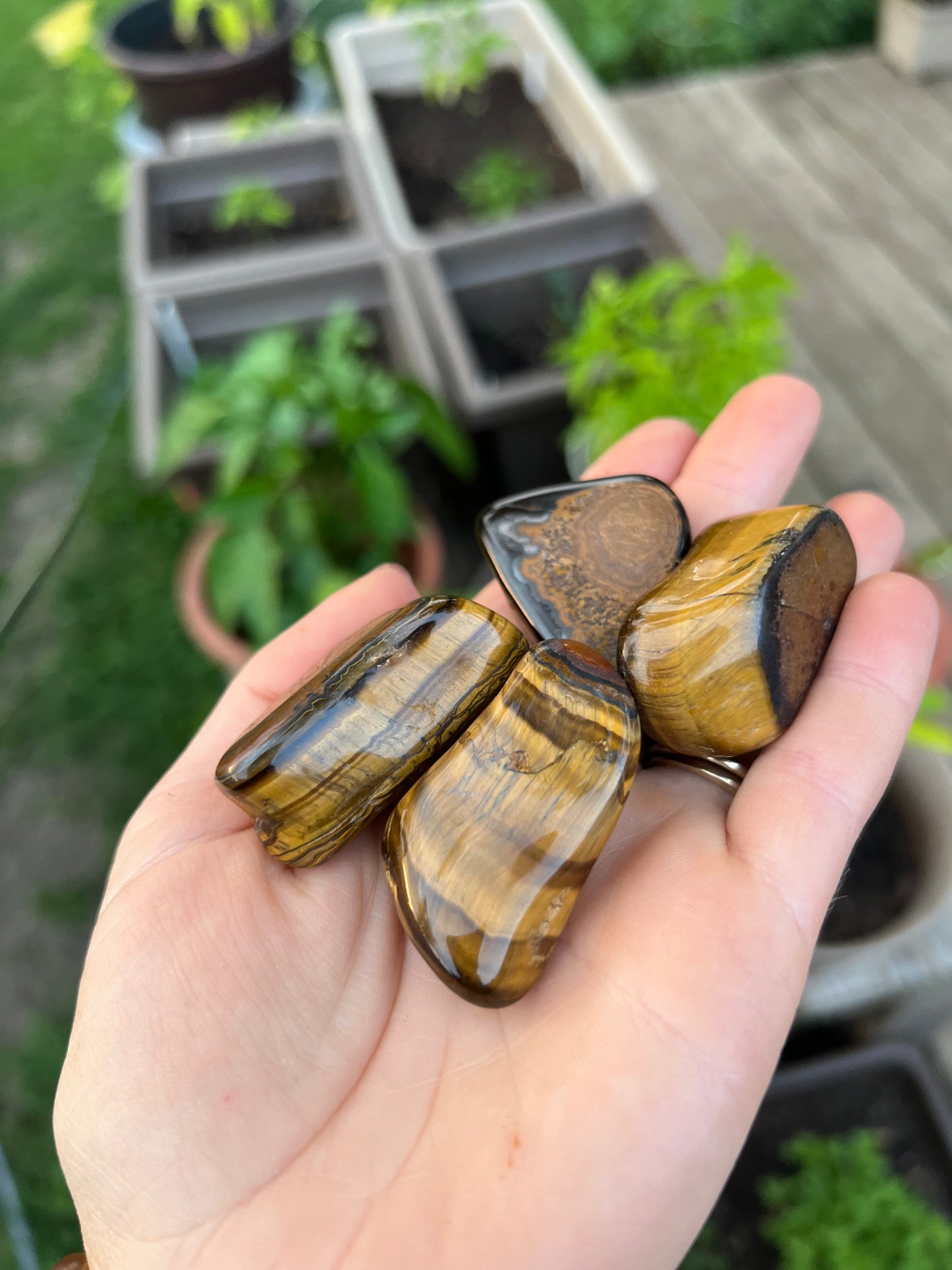 Tiger Eye Tumbled Stone