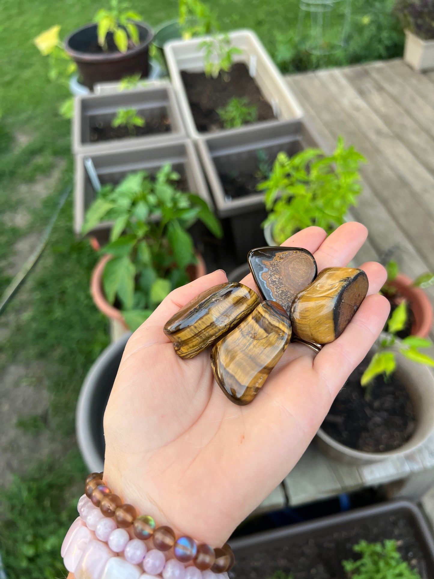 Tiger Eye Tumbled Stone