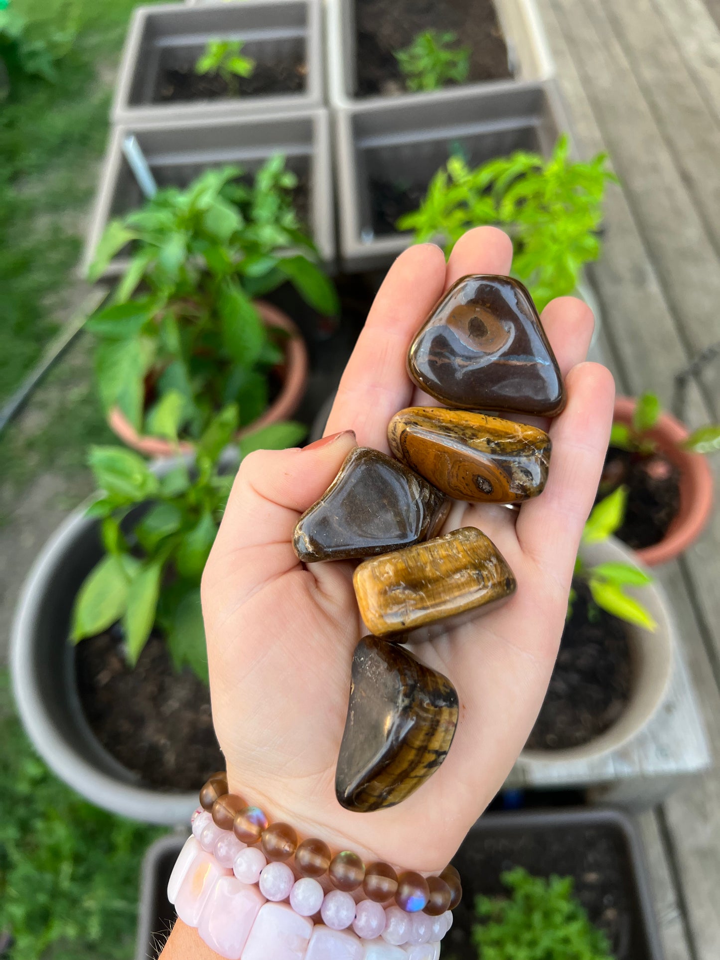 Tiger Eye Tumbled Stone