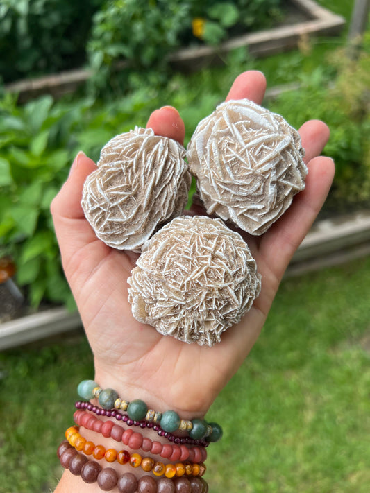 Desert Rose Gypsum: A Flower Born from Sand, Salt & Time