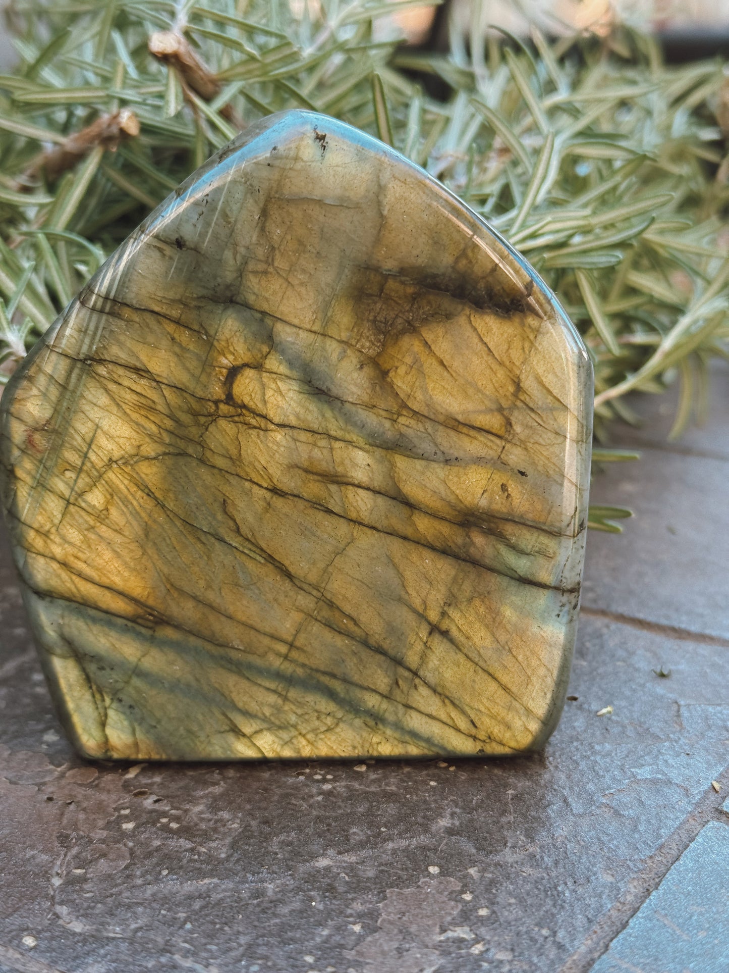 Labradorite Standing Freeform – Medium