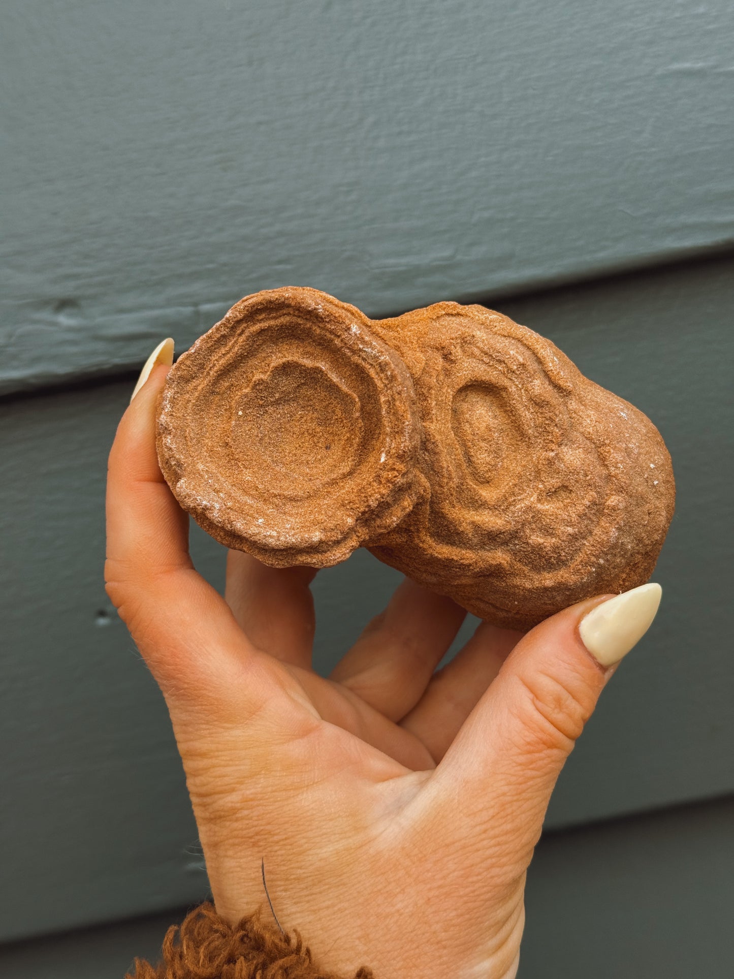 Stramatolite Sandstone