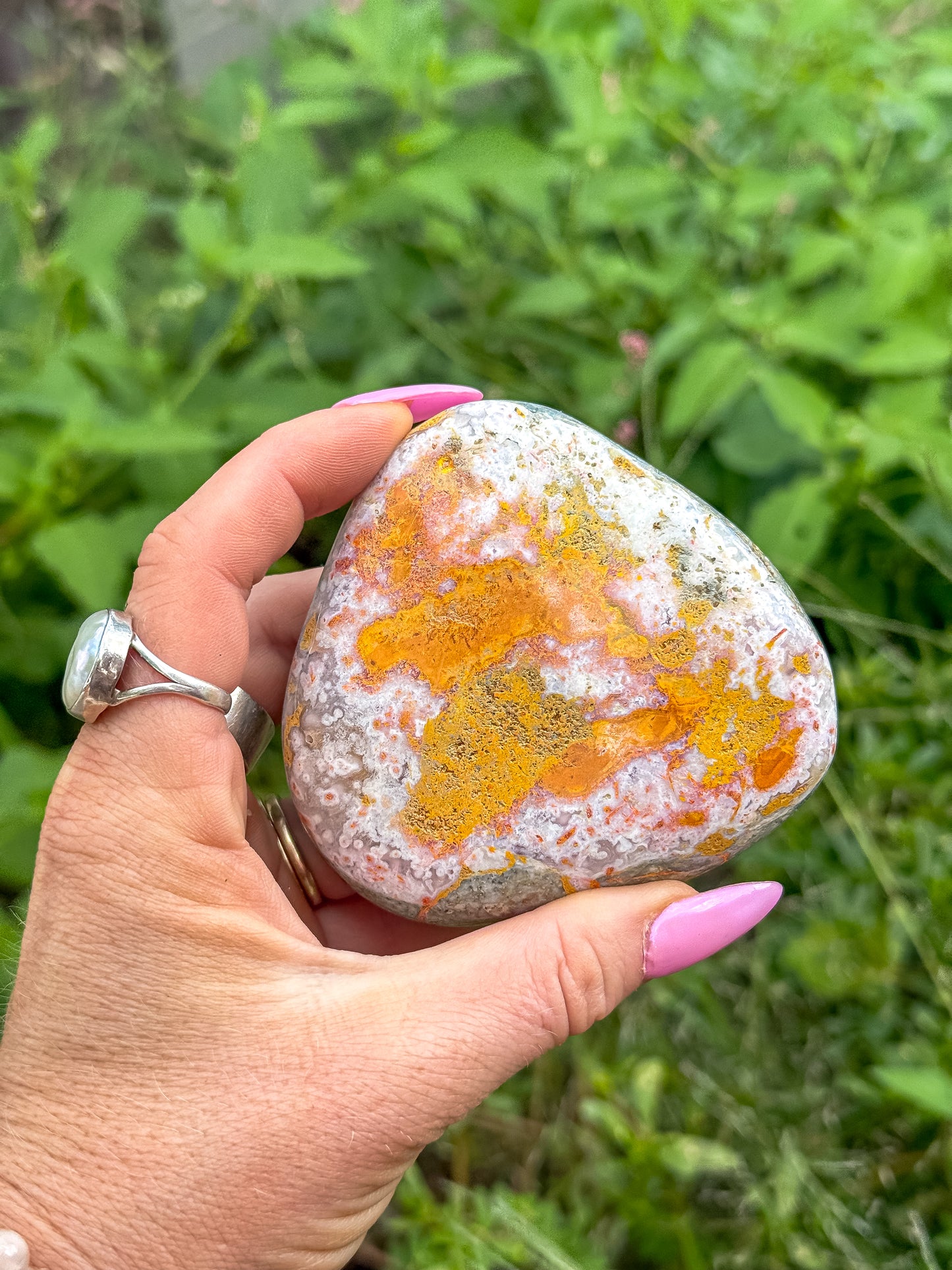 Bumblebee Jasper Freeform