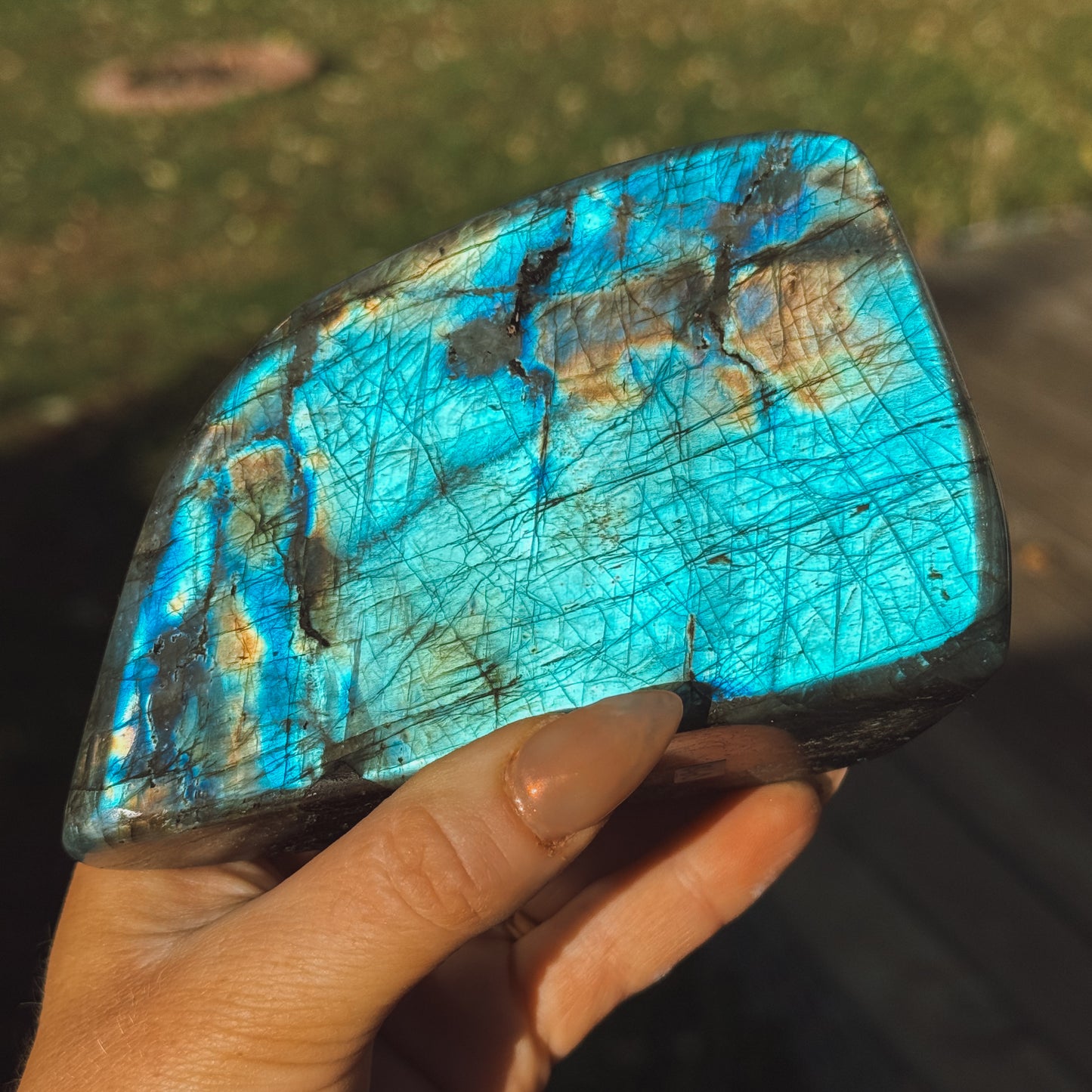 Labradorite Standing Freeform – Medium