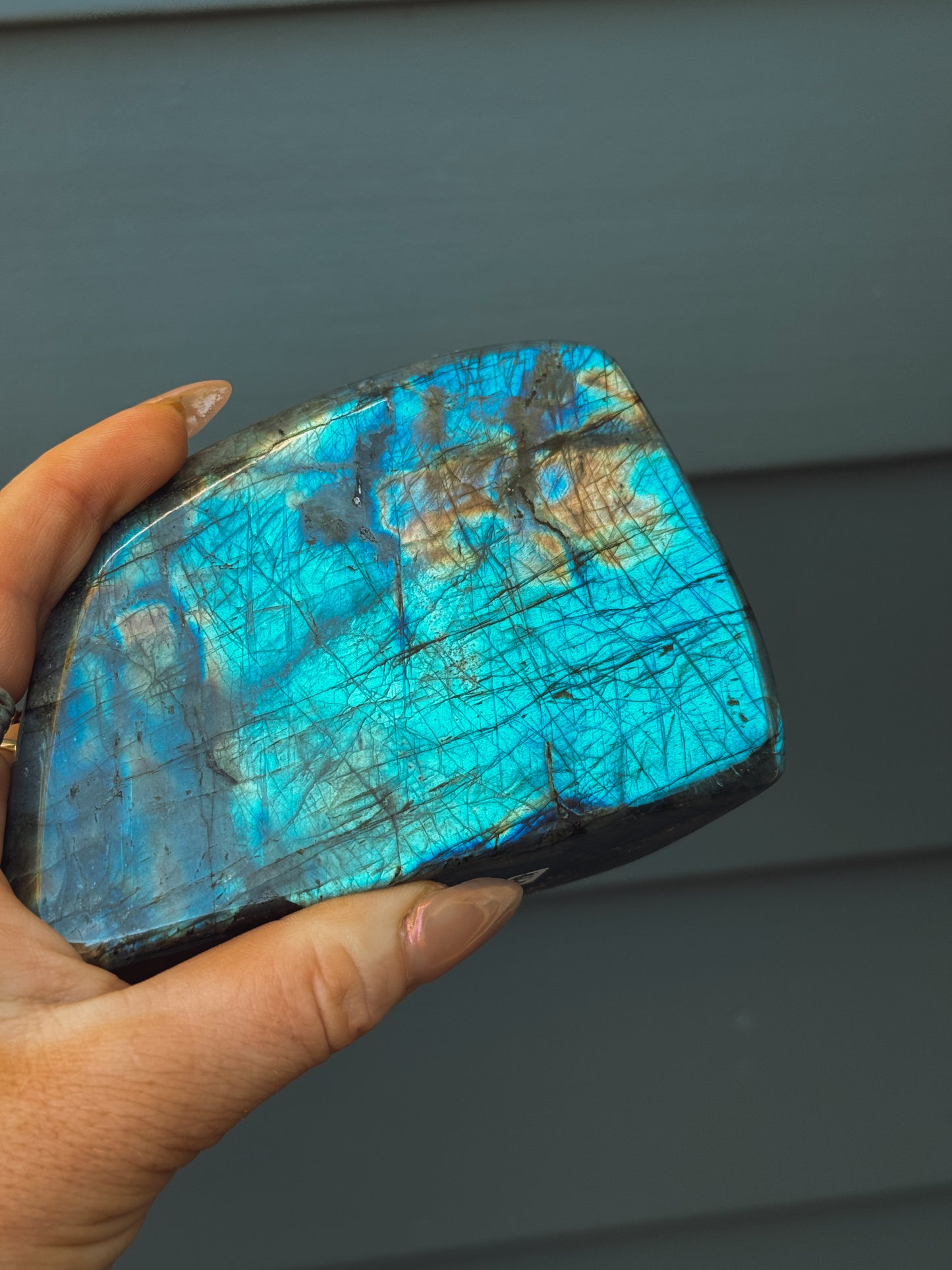 Labradorite Standing Freeform – Medium