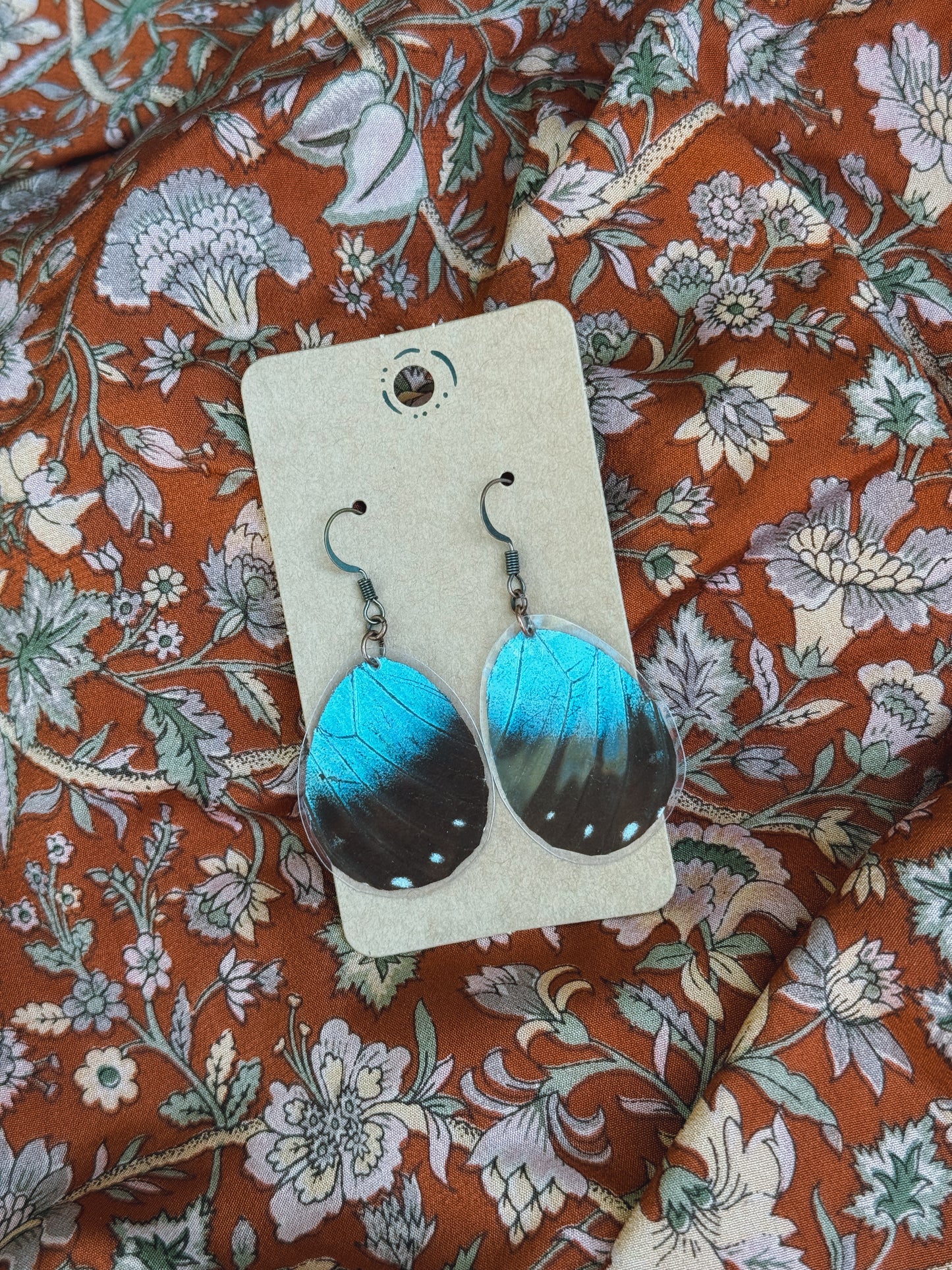 Black & Blue Butterfly Wing Earrings – Antique Copper