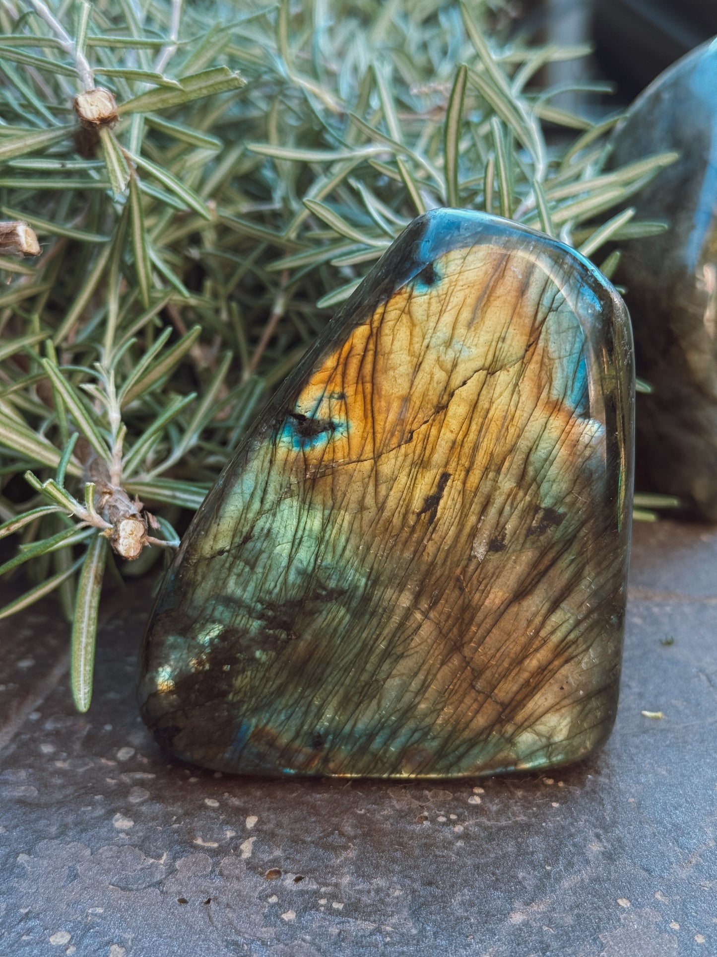 Labradorite Standing Freeform – Small