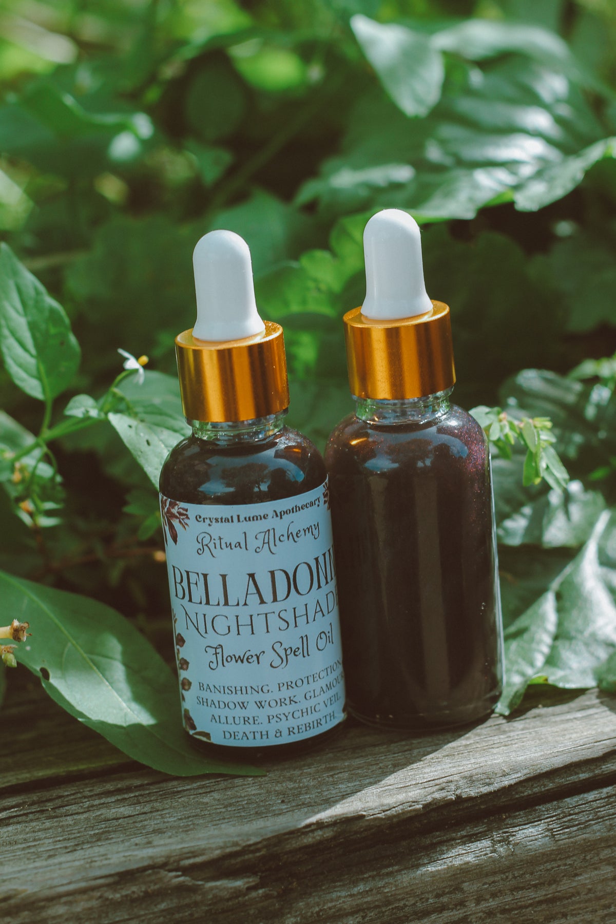 Belladonna Nightshade Flower Oil