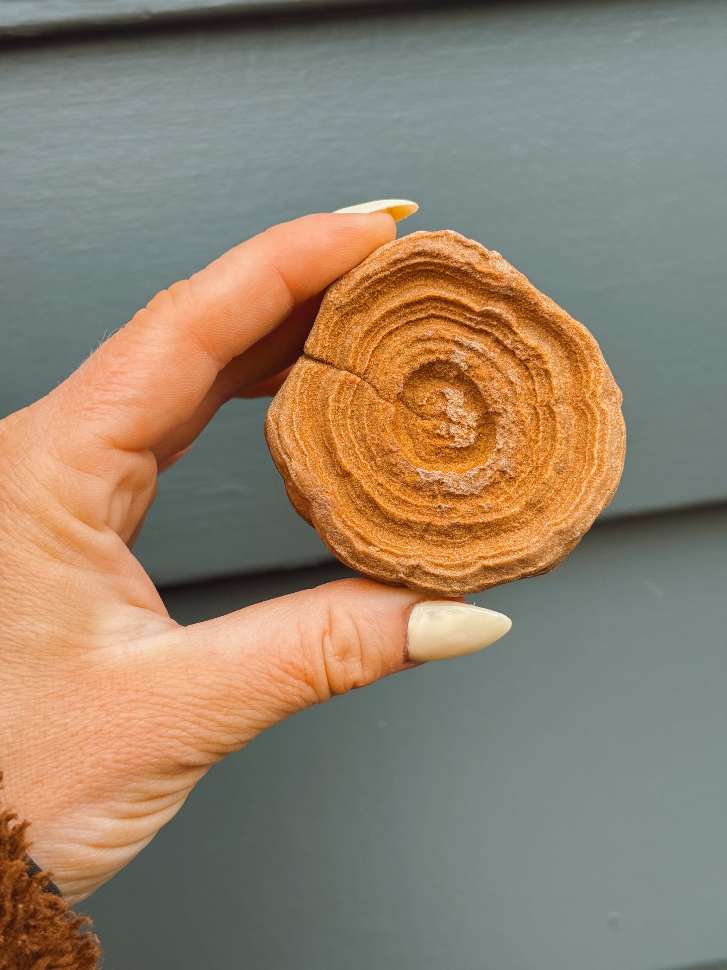 Stramatolite Sandstone