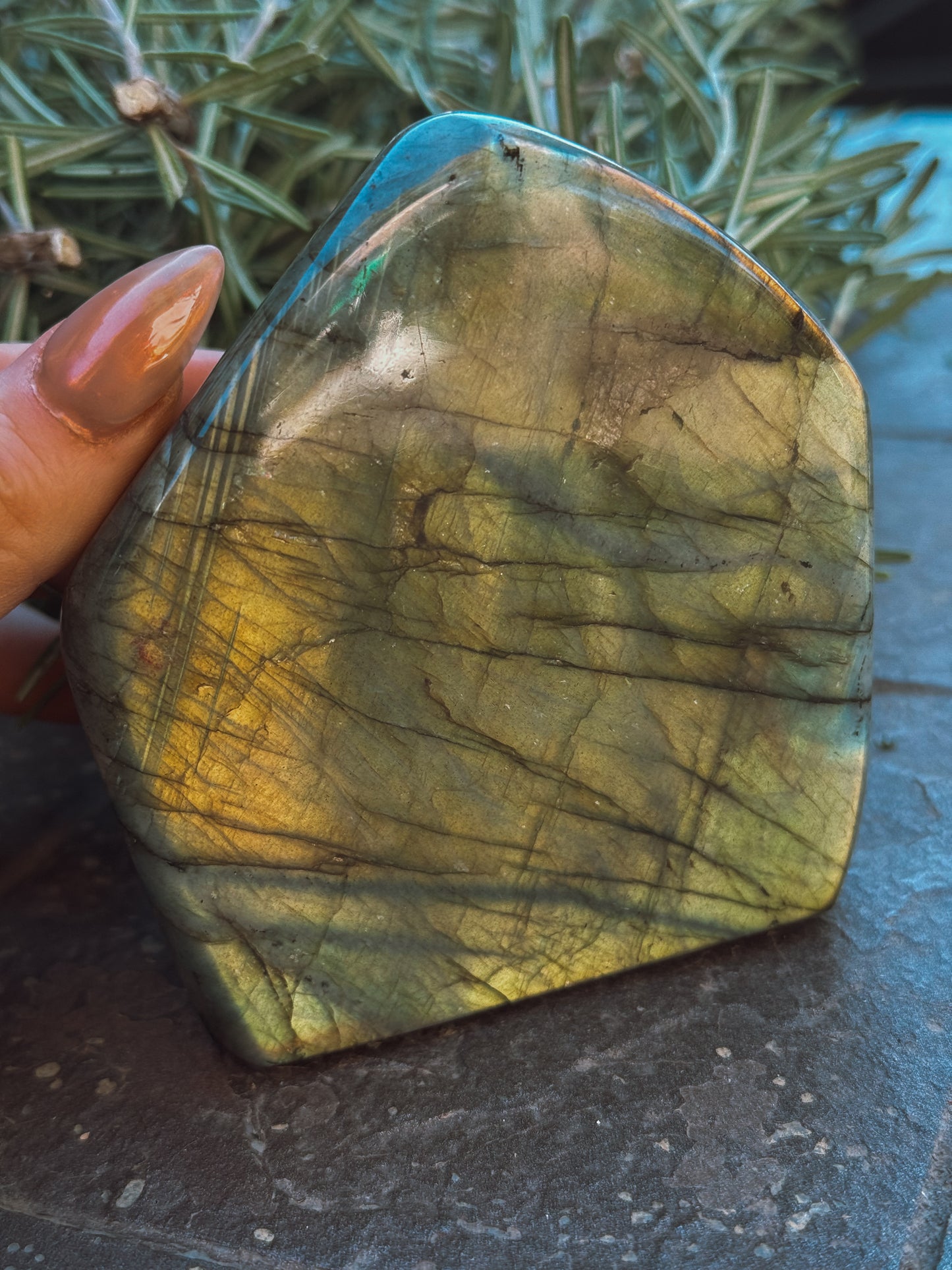 Labradorite Standing Freeform – Medium