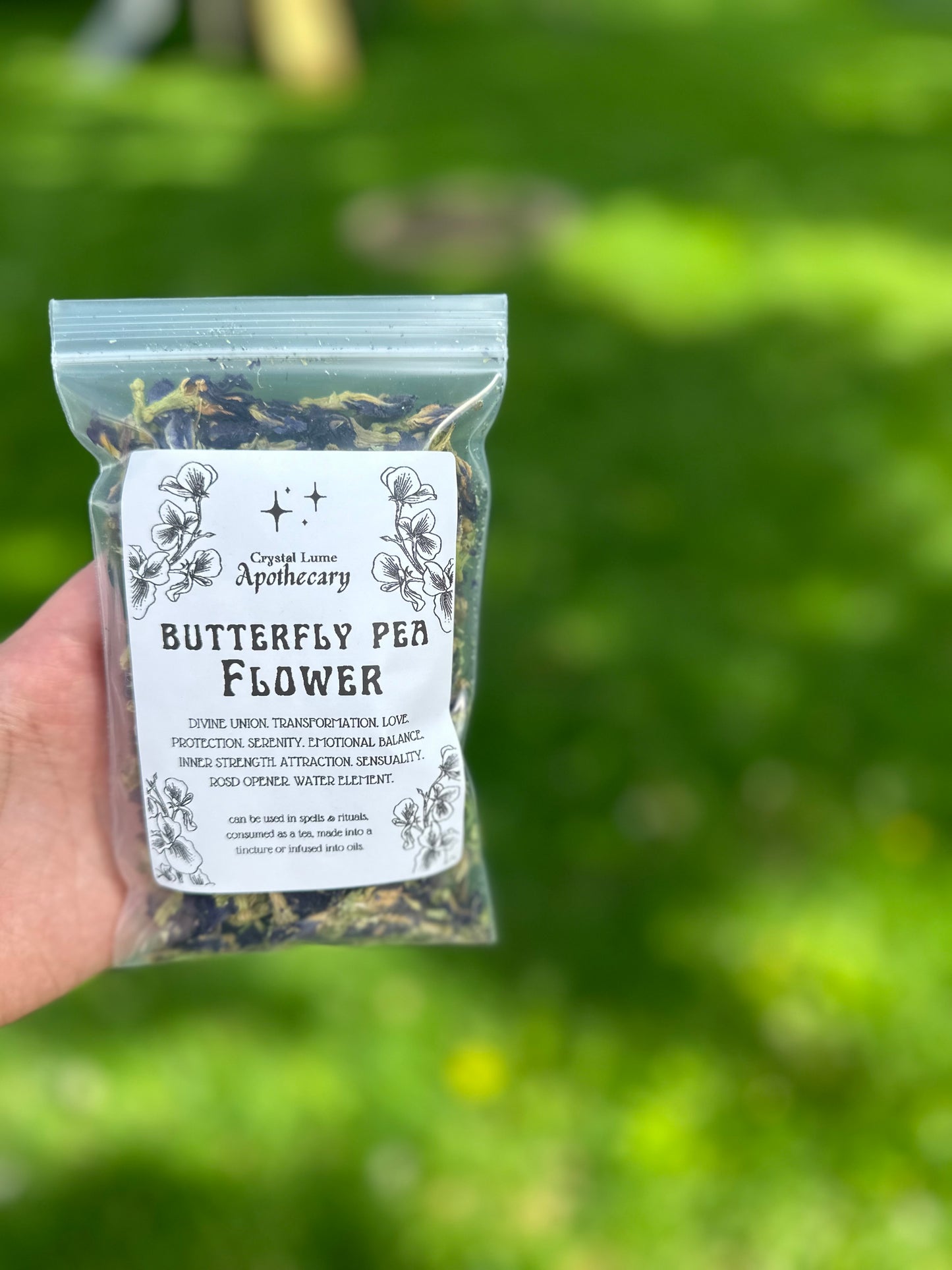 Butterfly Pea Flower