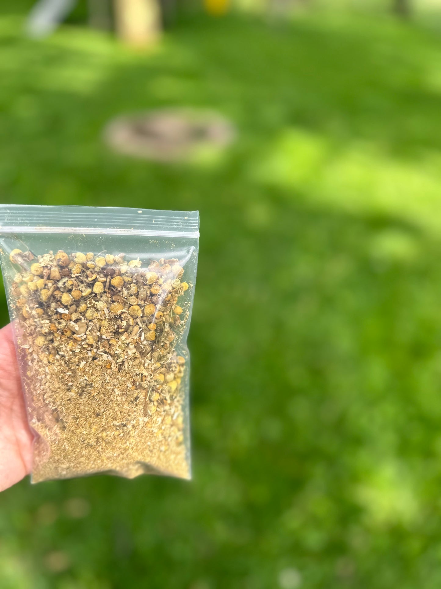 Chamomile flower 1oz