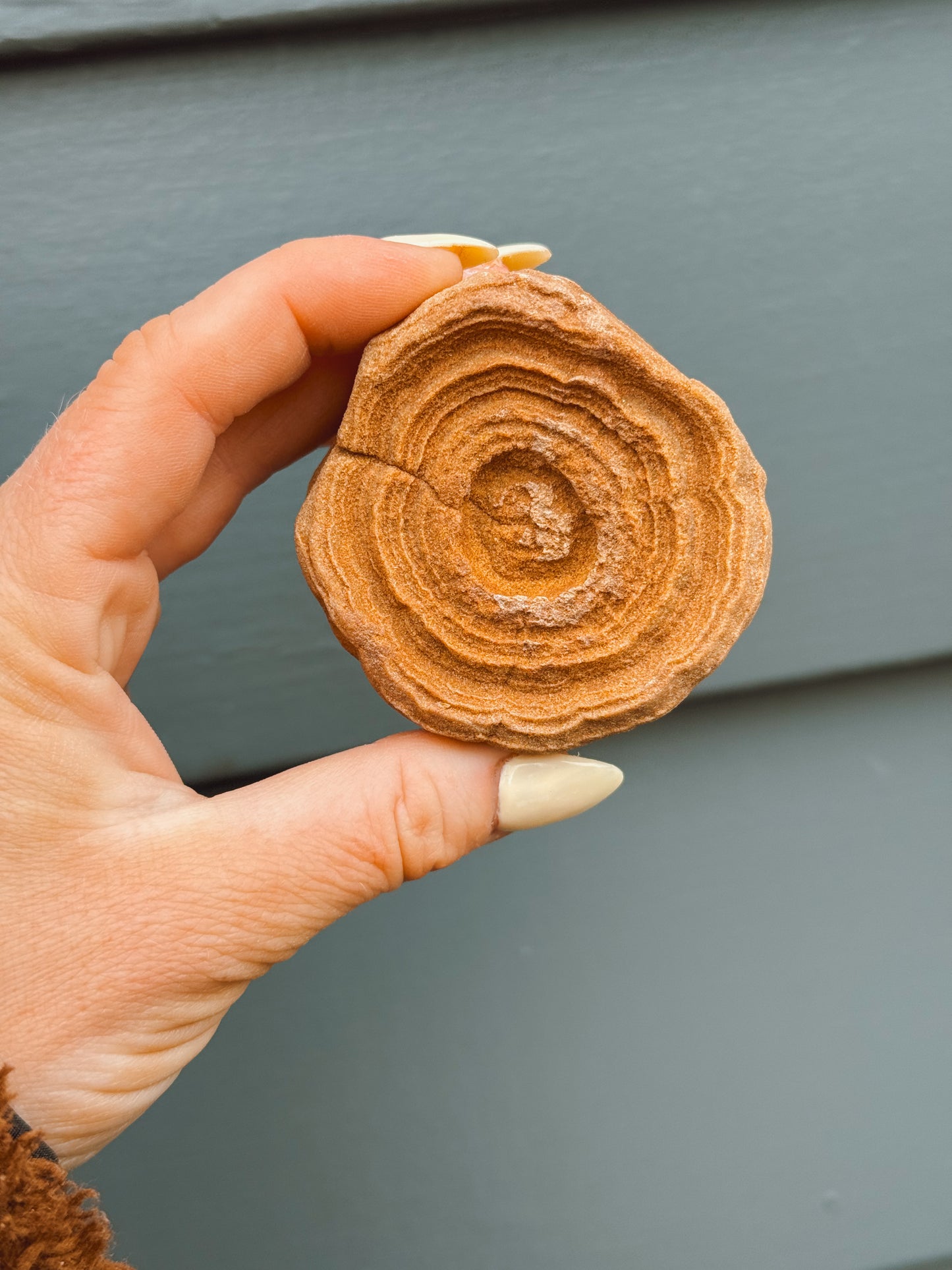 Stramatolite Sandstone