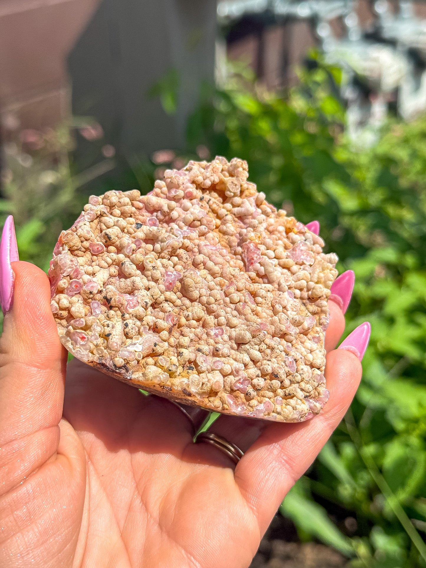 Rare Pink Chalcedony + Bumblebee Jasper Botryoidal Specimen — Indonesia