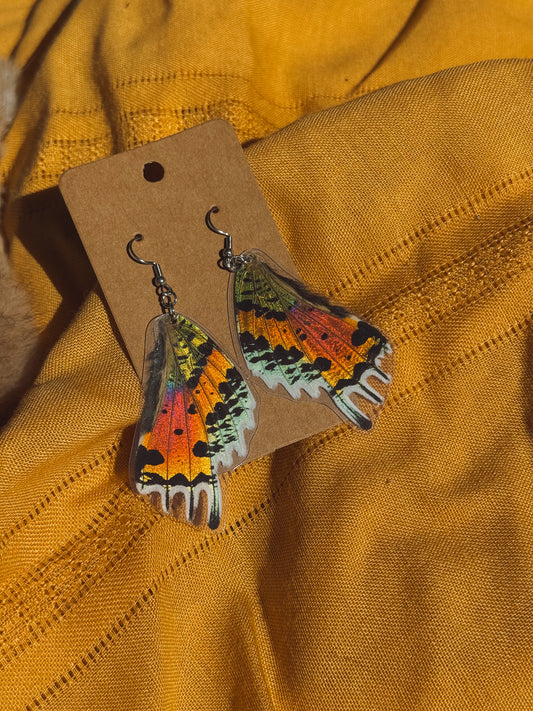 Rainbow Sunset Moth Wing Earrings – Stainless Steel