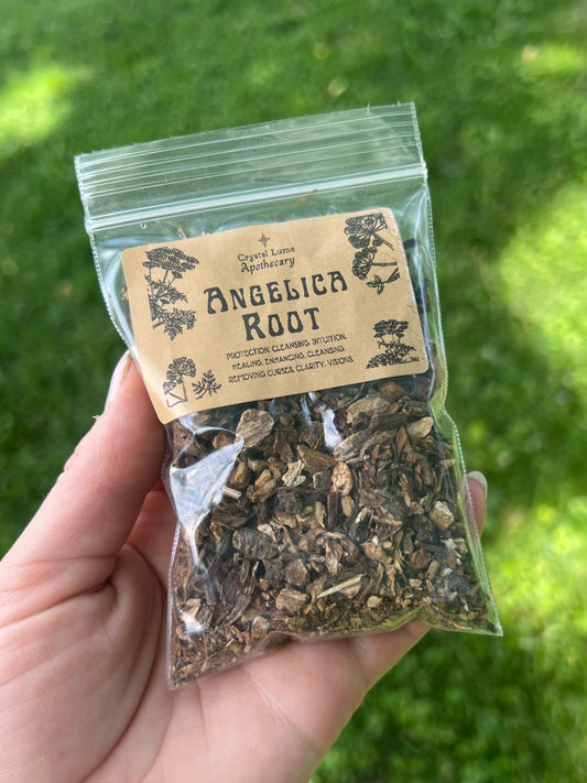 Angelica Root