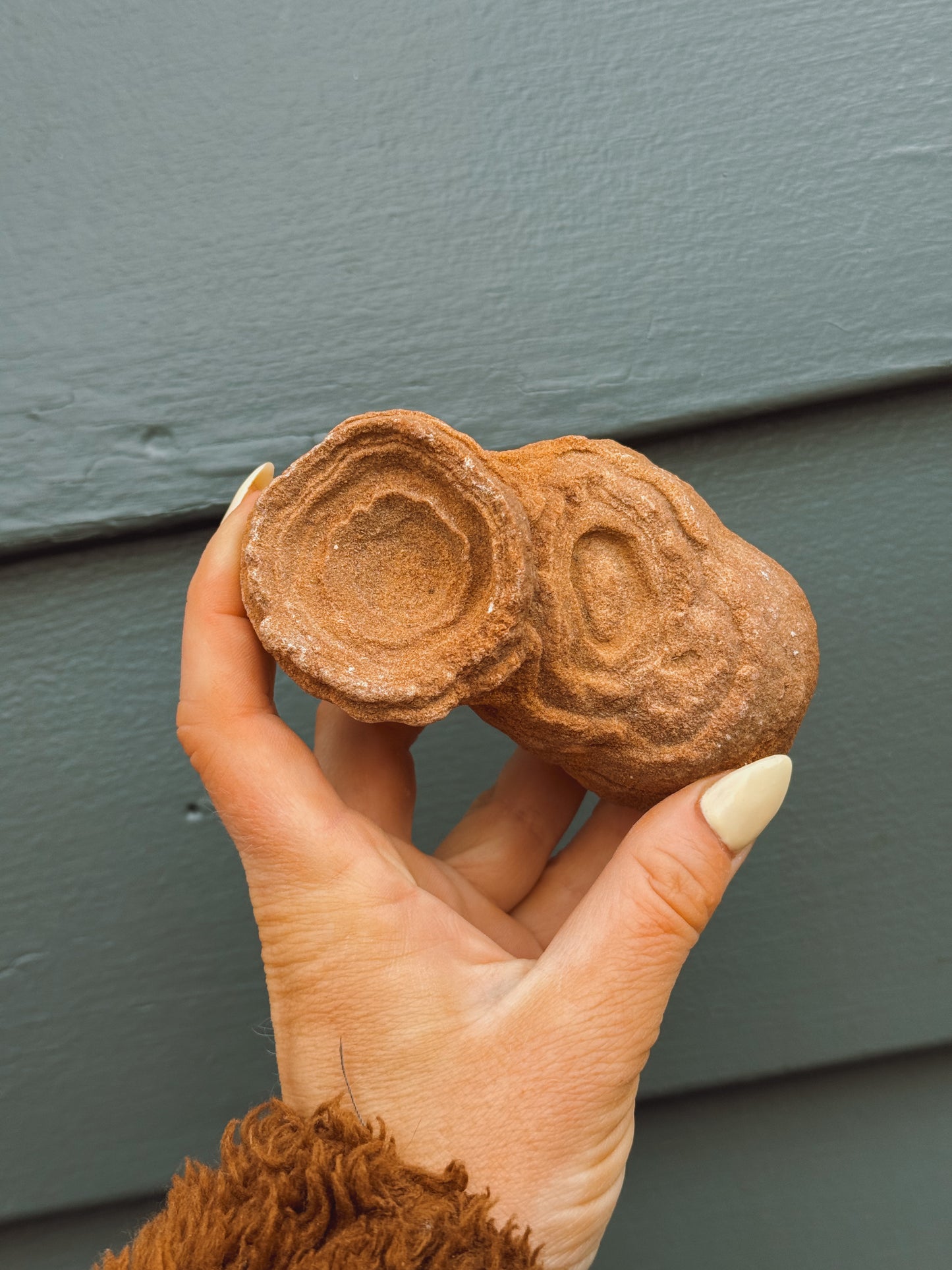 Stramatolite Sandstone