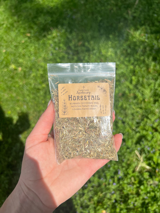 Horsetail Herb 1/2oz bag // herbal apothecary