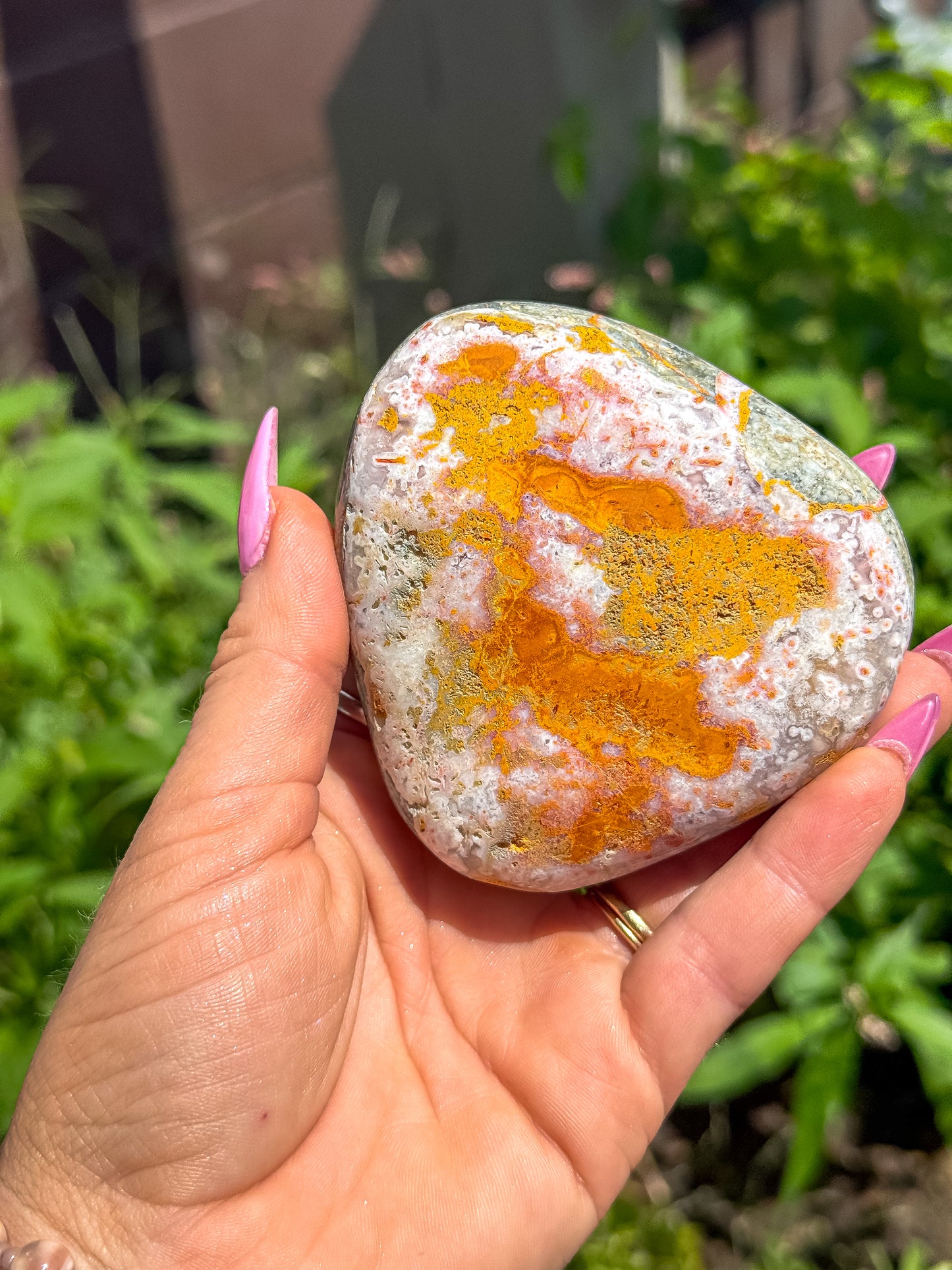 Bumblebee Jasper Freeform
