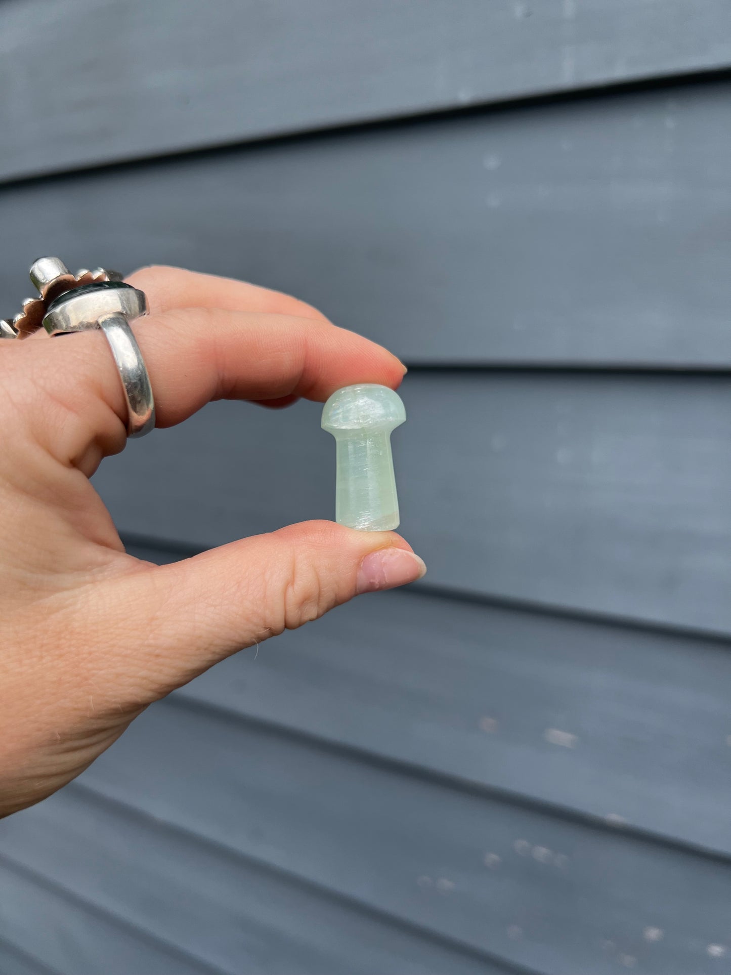 Blue Calcite Carved Mushroom