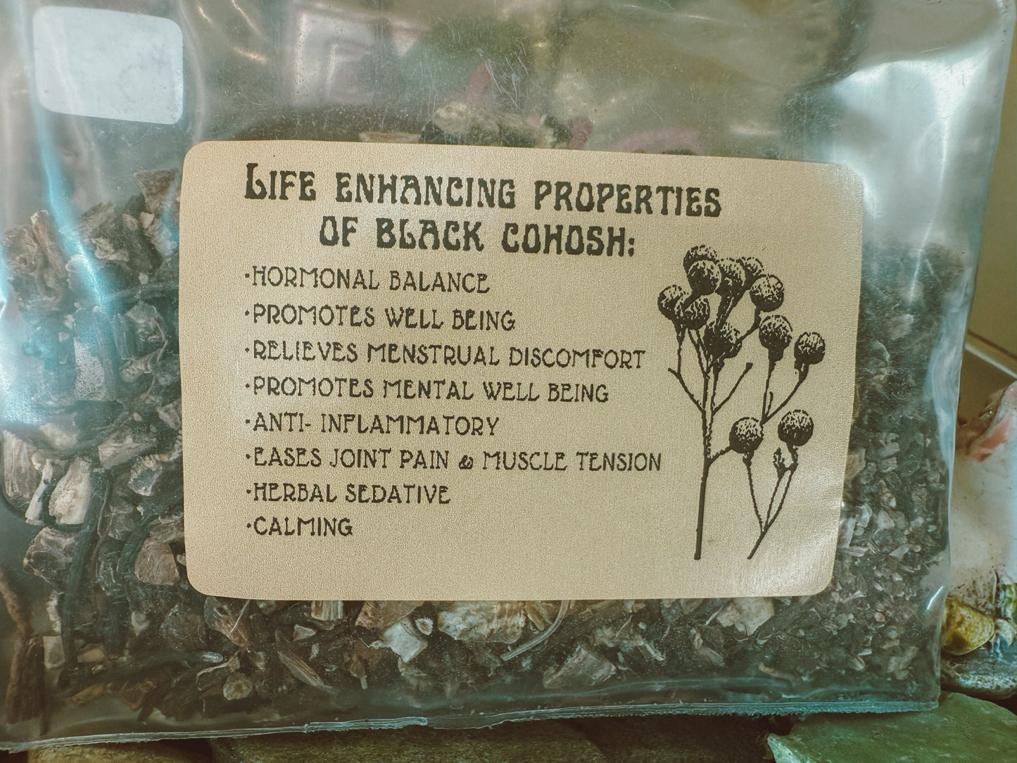 Black Cohosh Root