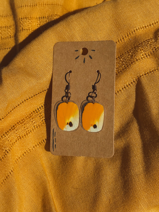 Golden Moth Wing Earrings – Antique Copper