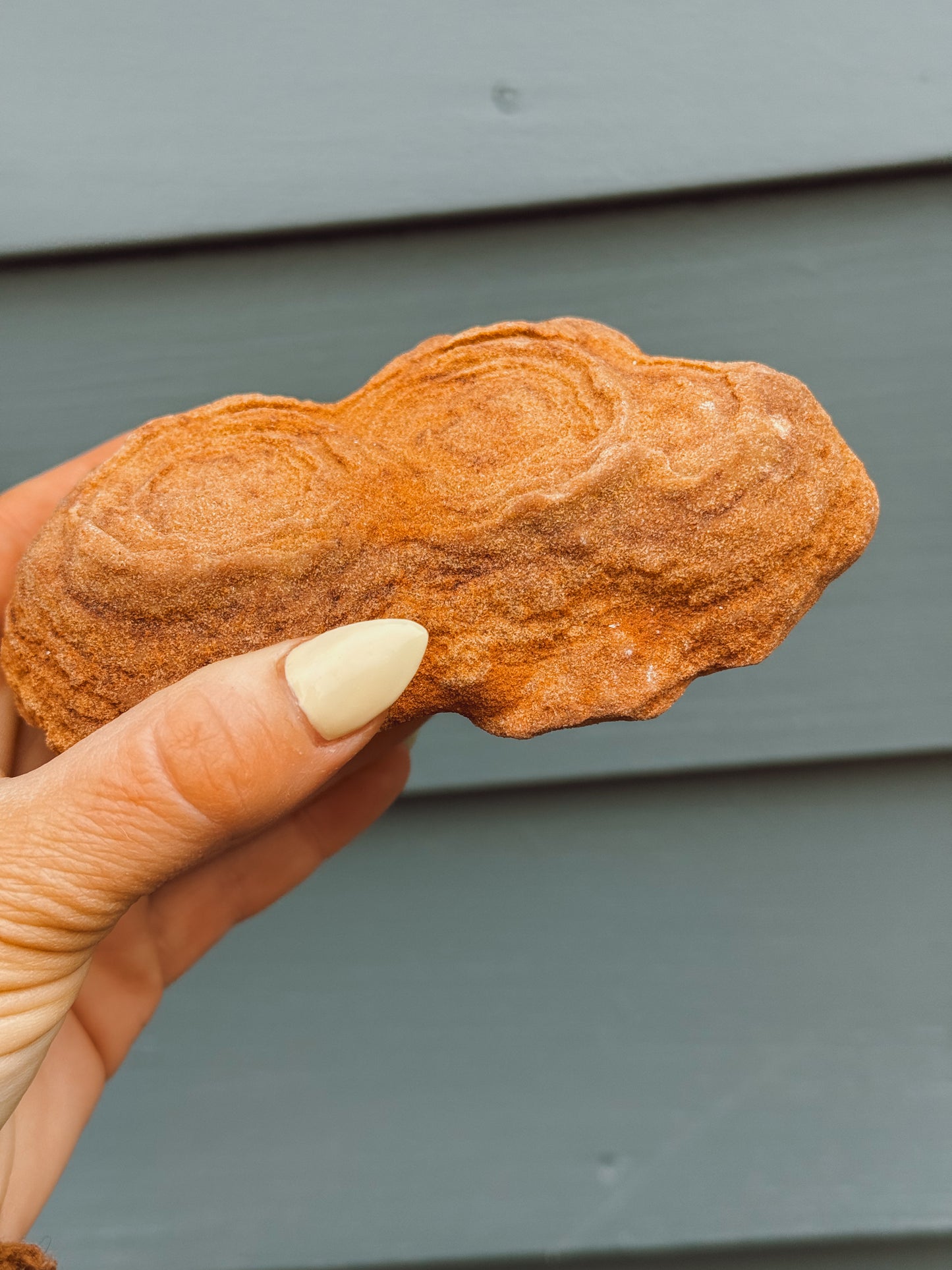 Stramatolite Sandstone