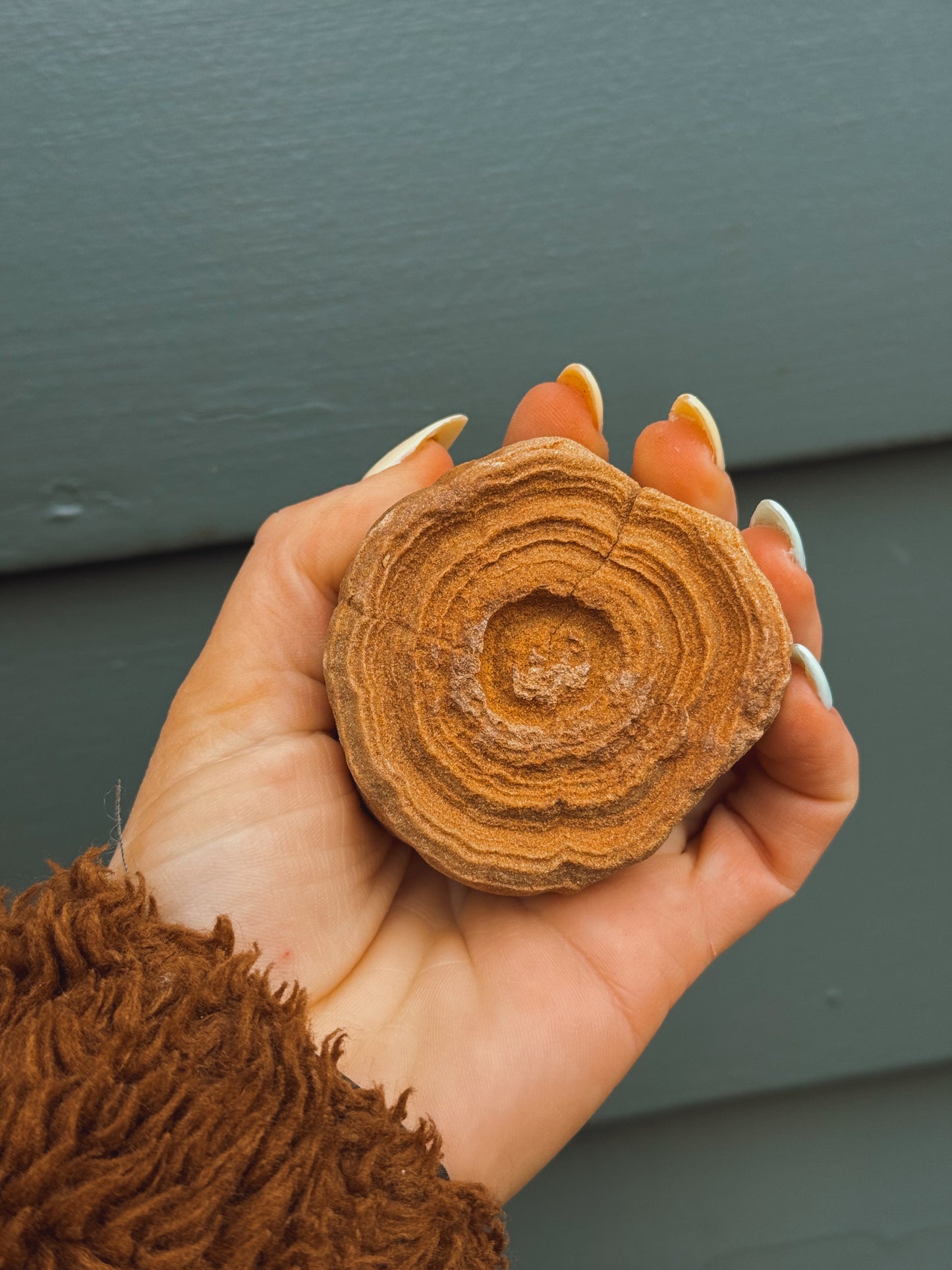 Stramatolite Sandstone