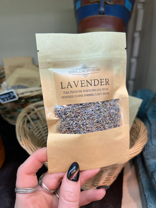 Lavender flowers