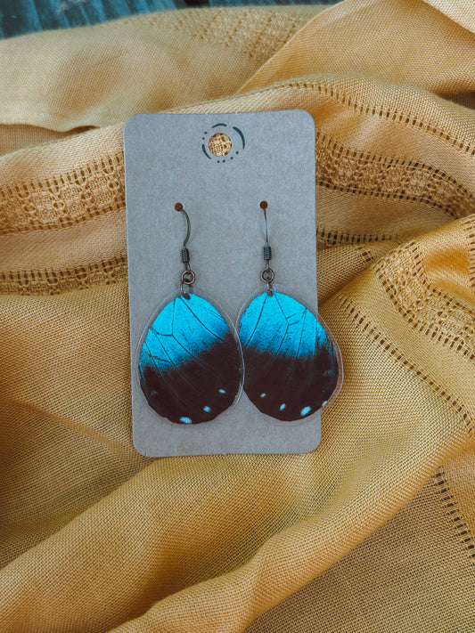 Black & Blue Butterfly Wing Earrings – Antique Copper