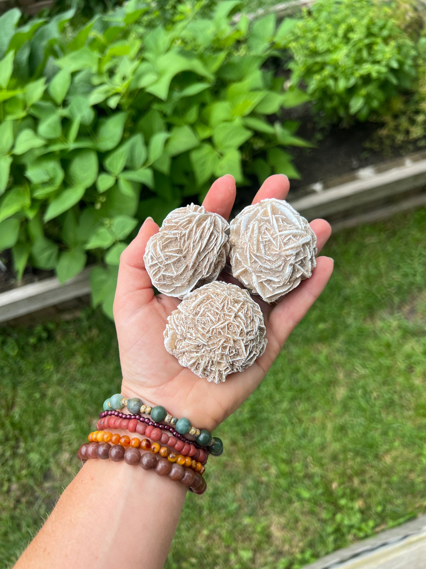 Desert Rose Selenite