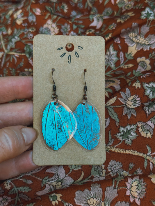 Blue Morpho Butterfly Wing Earrings – Antique Copper Hooks