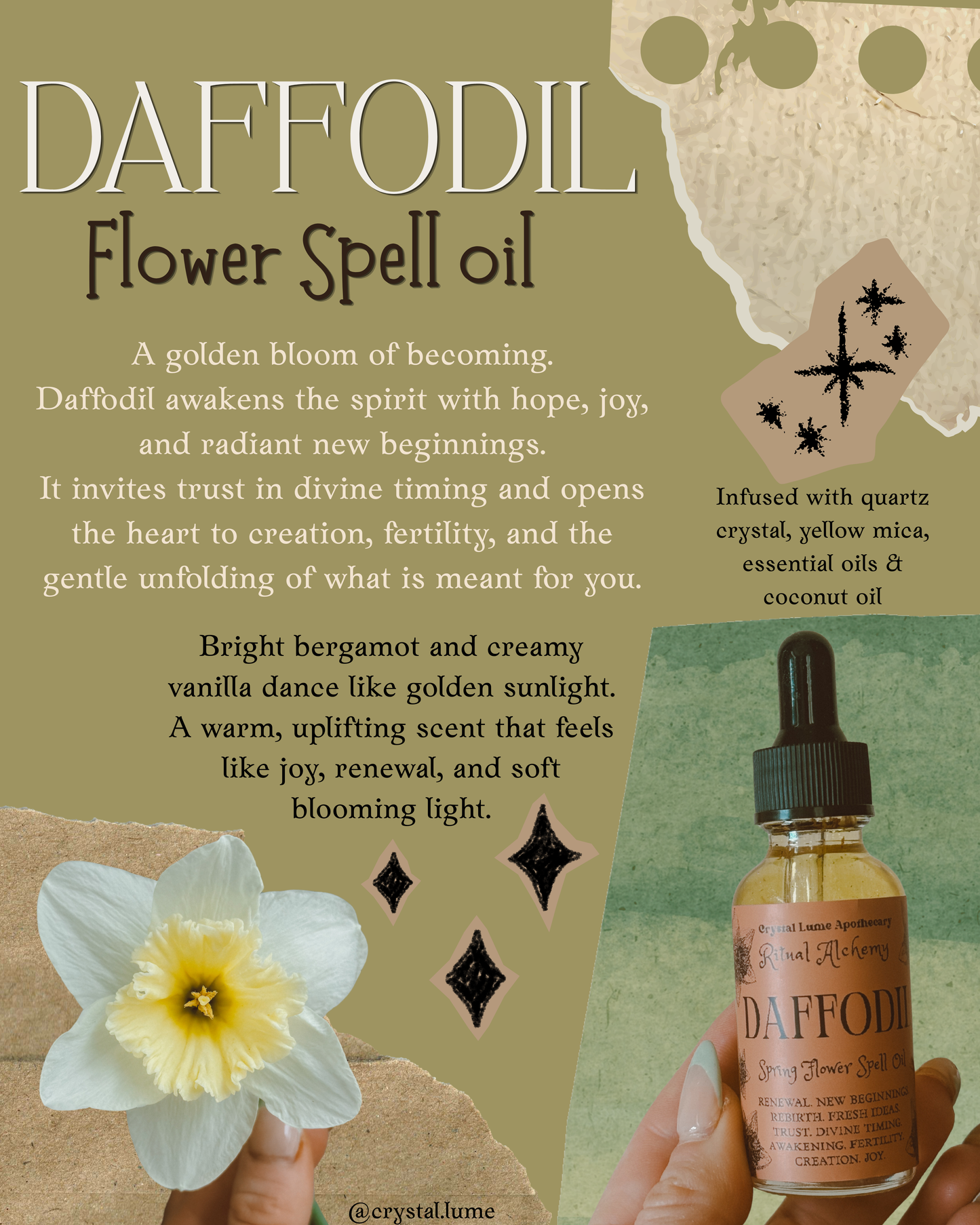 Daffodil Spell Oil