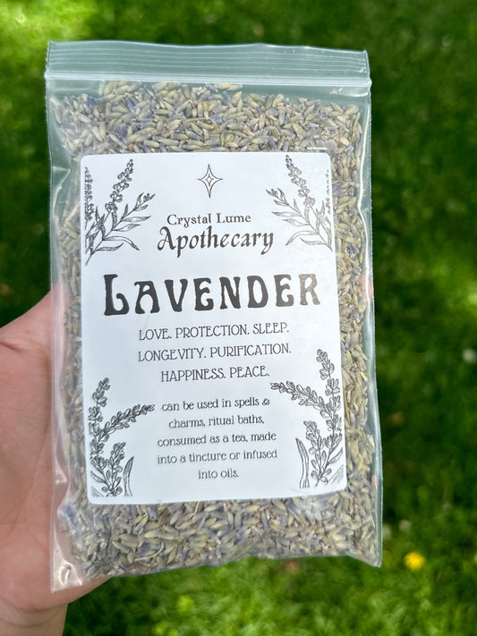 Lavender Flower